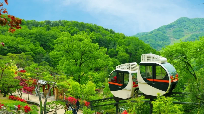 Gangwon-do mang lại trải nghiệm du lịch khó quên