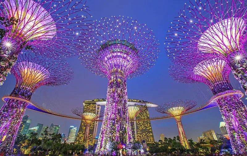 Lạc bước vào thế giới hoa tại Gardens by the Bay