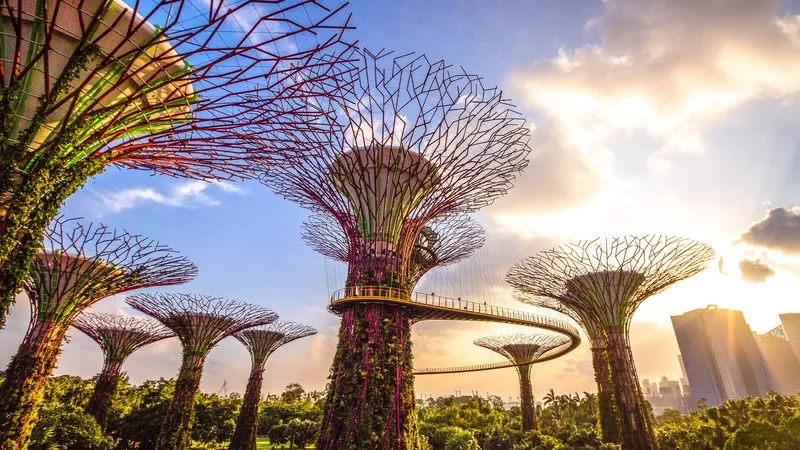 Chạm vào vẻ đẹp kỳ ảo ở Gardens by the Bay
