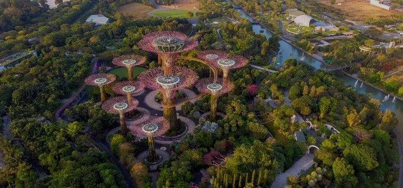 Góc sống ảo triệu like ở Gardens by the Bay