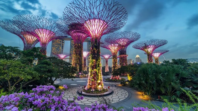 Vẻ đẹp như cổ tích tại Gardens by the Bay