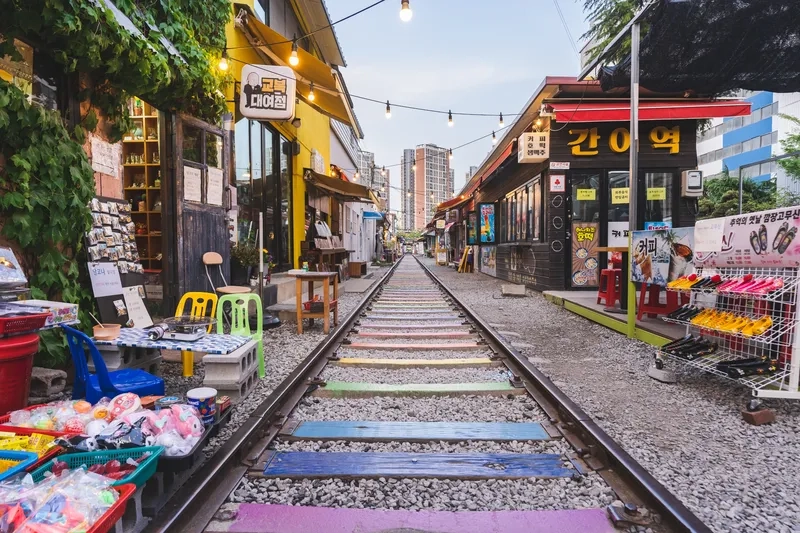 Con đường ven biển Gunsan rực rỡ nắng vàng