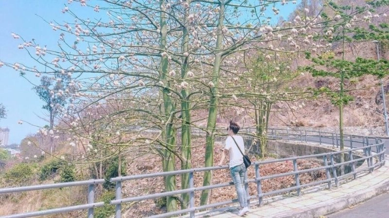 Đường lên Hải đăng Vũng Tàu lãng mạn