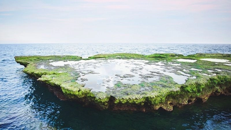 Du lịch Ninh Thuận khám phá vẻ đẹp biển đảo