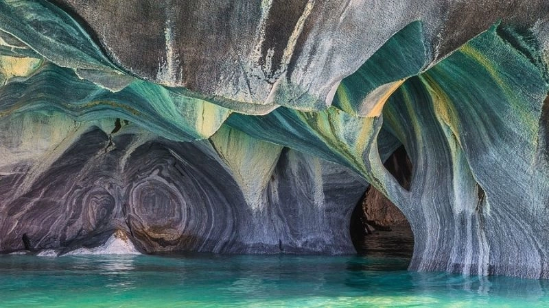 Hệ sinh thái Hang Sơn Đoòng đa dạng phong phú