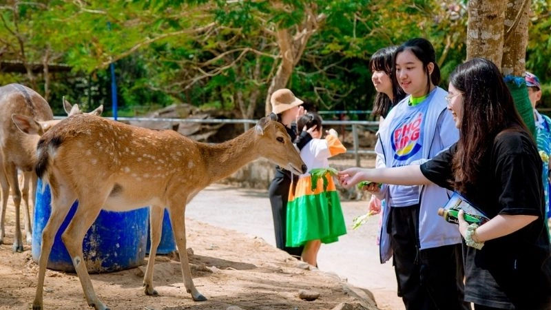 Khám phá Hồ Mây Park trải nghiệm thú vị