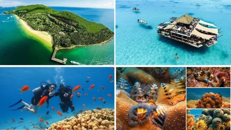 Thư giãn Hòn Mun quên hết muộn phiền cuộc sống