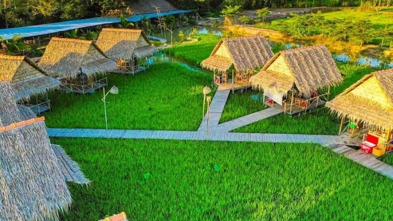 Mùa nước nổi Đồng Tháp Mười rực rỡ sức sống