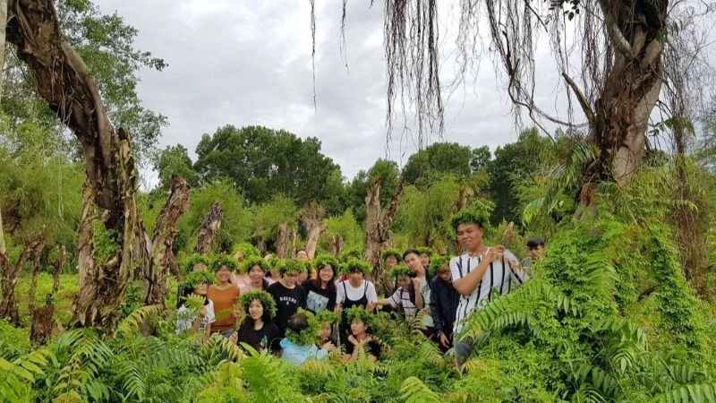 Khám phá Đồng Tháp Mười hành trình về miền hoang dã