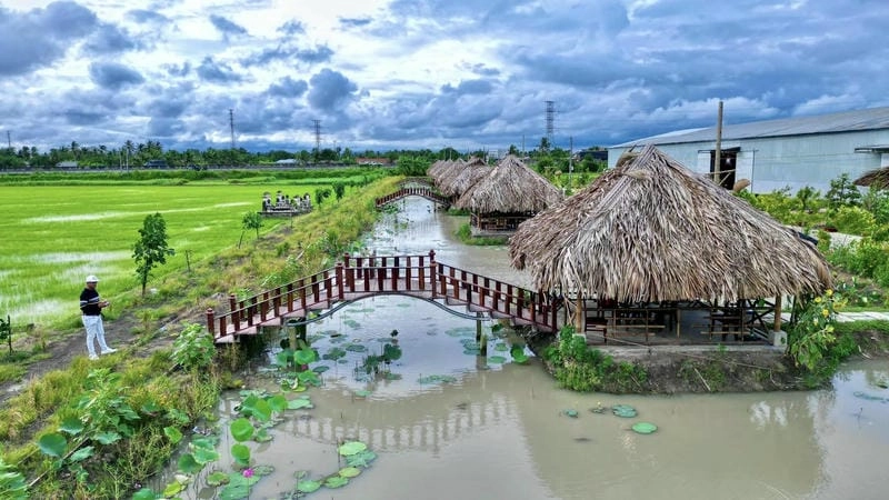 Cầu gỗ dẫn vào khu du lịch sinh thái Long An