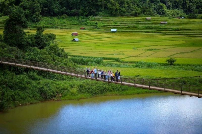Cánh đồng cỏ xanh tại Thiên nhiên Kon Tum