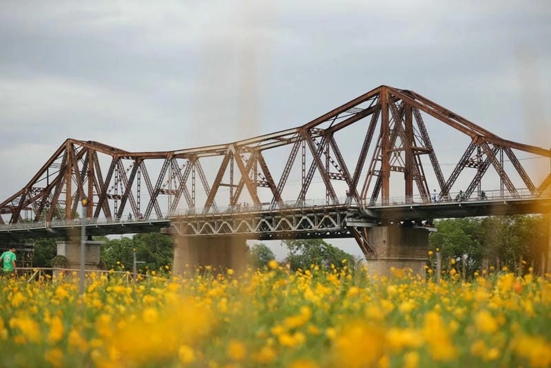 Check in liền tay tại các địa điểm ngắm hoa cải vàng nổi bật