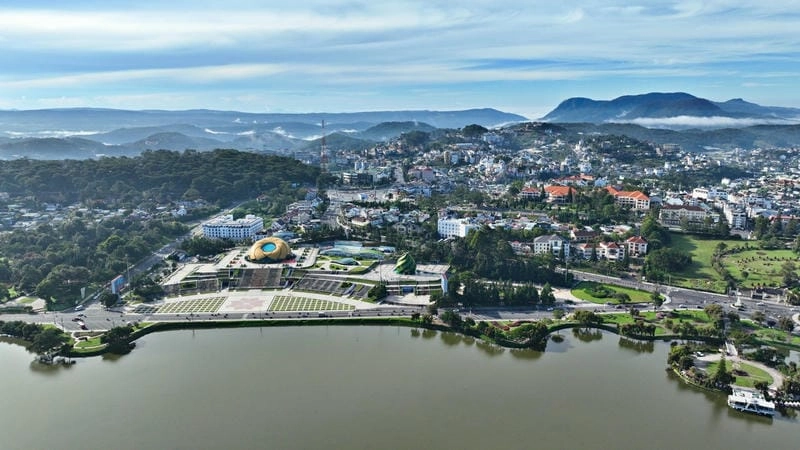 Sắc hoa dại tô điểm thiên nhiên Lâm Đồng