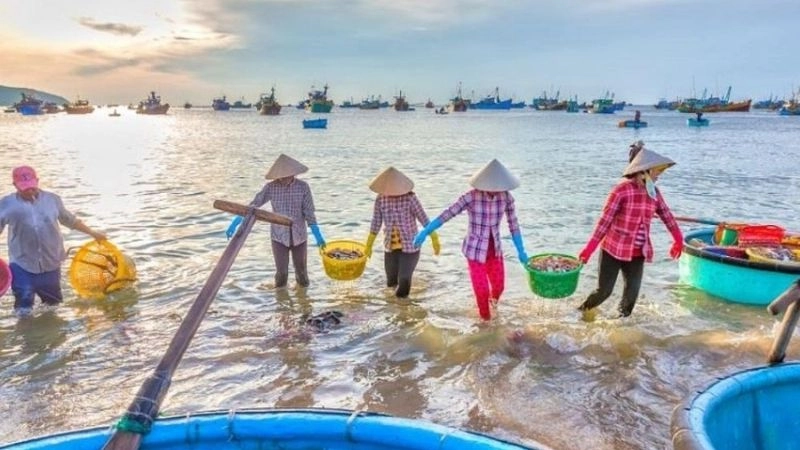 Ảnh Phú Quốc đẹp lưu giữ khoảnh khắc làng biển