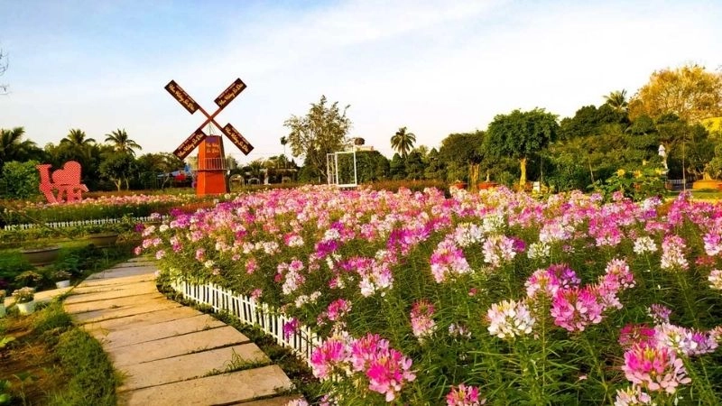 Ảnh Đồng Tháp đẹp lưu giữ vẻ đẹp ngọt ngào của hoa