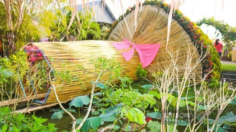 Kinh nghiệm cá nhân khi khám phá làng hoa Sa Đéc