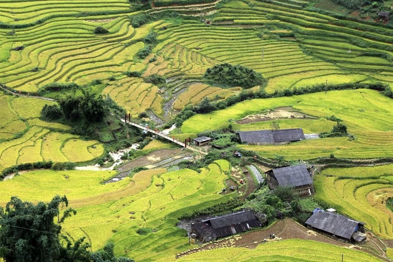 Vẻ đẹp núi rừng Lào Cai qua những con đường quanh co