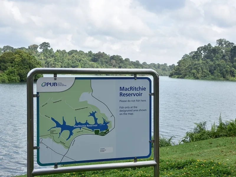 Kinh nghiệm tham quan MacRitchie Reservoir