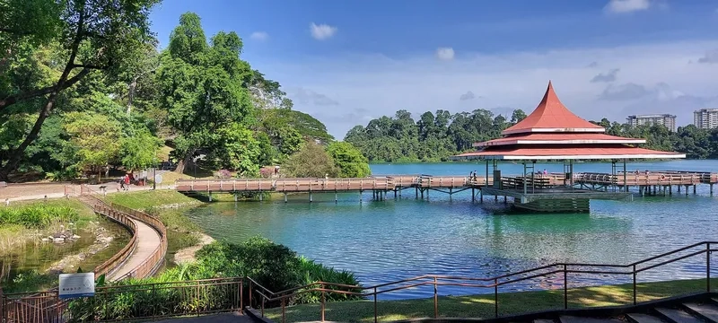 MacRitchie Reservoir là điểm đến lý tưởng cho dân mê phượt