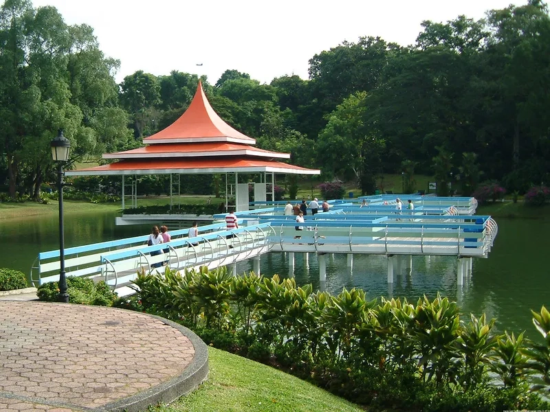 MacRitchie Reservoir là nơi lý tưởng để dã ngoại nhẹ