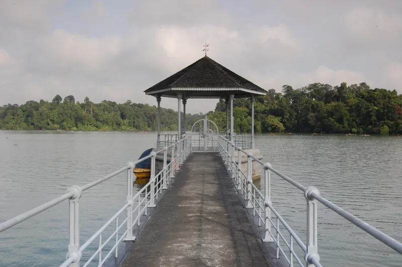Check in tại MacRitchie Reservoir cùng bạn bè ngay thôi