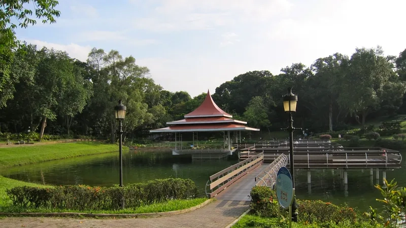 Đường mòn MacRitchie Reservoir cực kỳ đáng để khám phá
