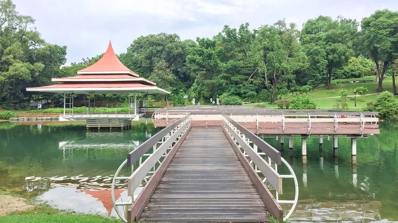 MacRitchie Reservoir mang đến sự yên bình khó cưỡng lại