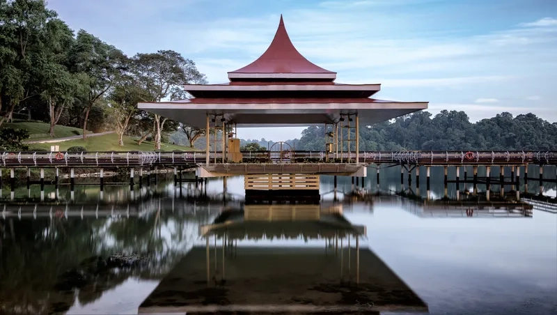 MacRitchie Reservoir có không khí trong lành tuyệt hảo