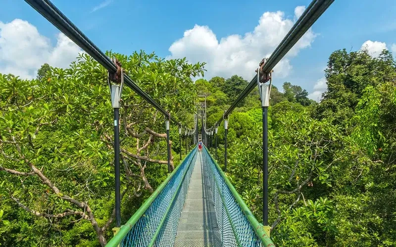 Khám phá cầu treo nổi bật tại MacRitchie Reservoir