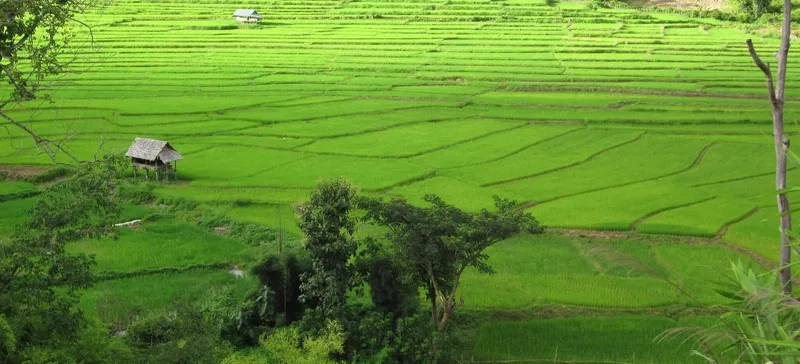 Khung cảnh bình yên ở Mae Sariang sáng sớm