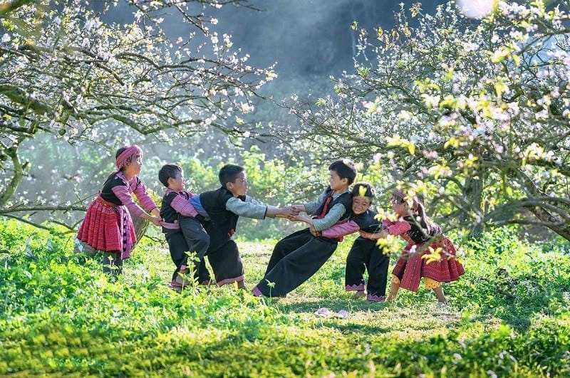Không thể bỏ lỡ lý do khiến Mai Châu mùa đông thu hút du khách