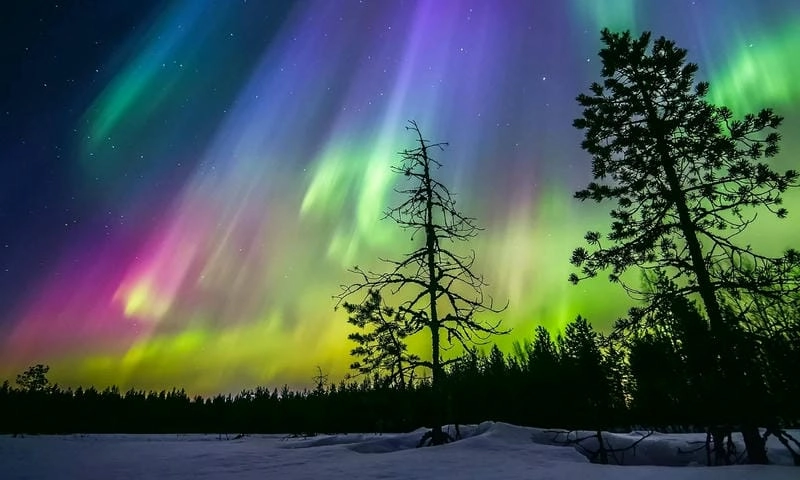 Mùa đông Bắc Cực quang với ánh sáng phương Bắc huyền ảo