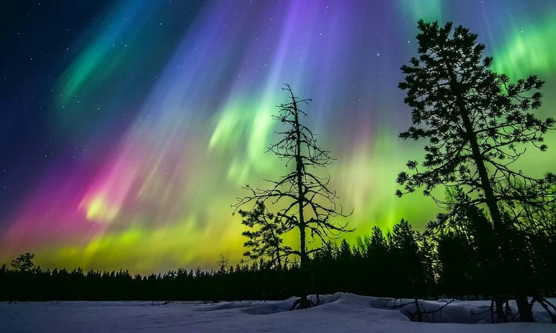 Bình minh Bắc Cực quang ở Thụy Điển đẹp đến nao lòng