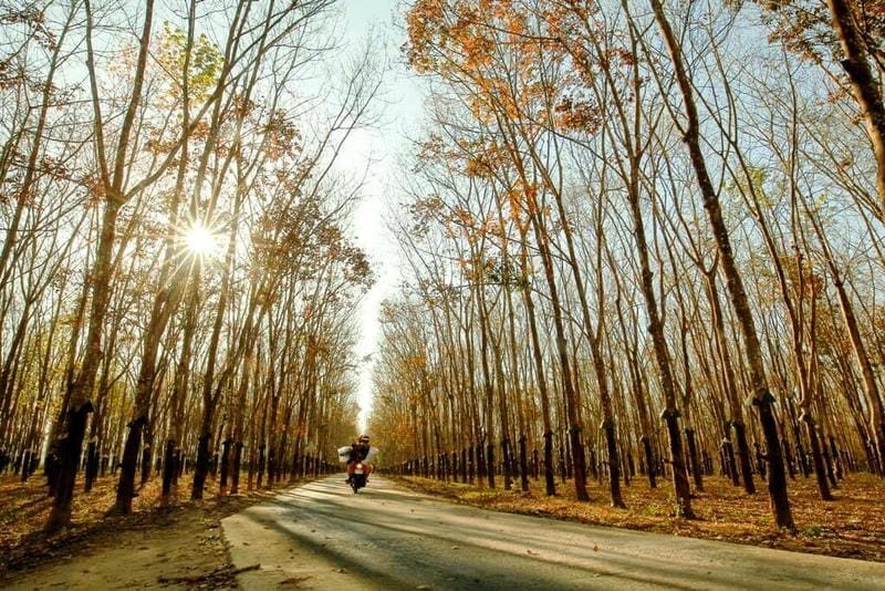 Núi non mùa đông Kon Tum đẹp say lòng người