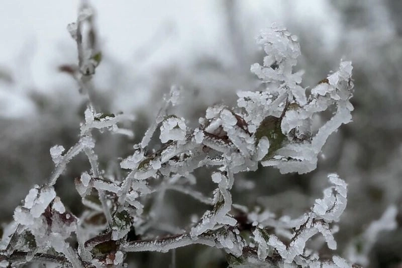 Mùa đông Lào Cai trắng xóa trong làn mây mù giăng kín núi đồi