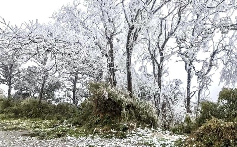 Cảnh Lào Cai lạnh giá khiến người xem muốn chạm tay vào tuyết