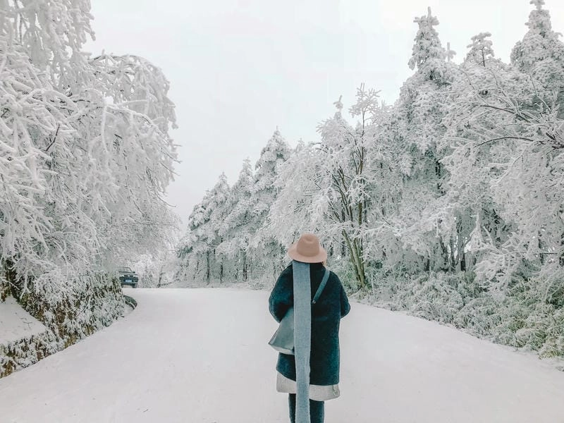 Làn sương mù mùa đông giăng phủ khắp các con đường u tịch