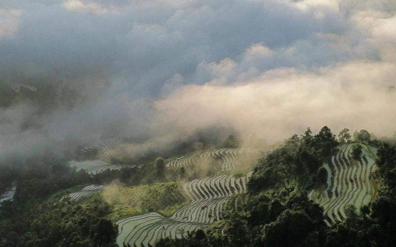 Lặng người giữa bình minh sương mù