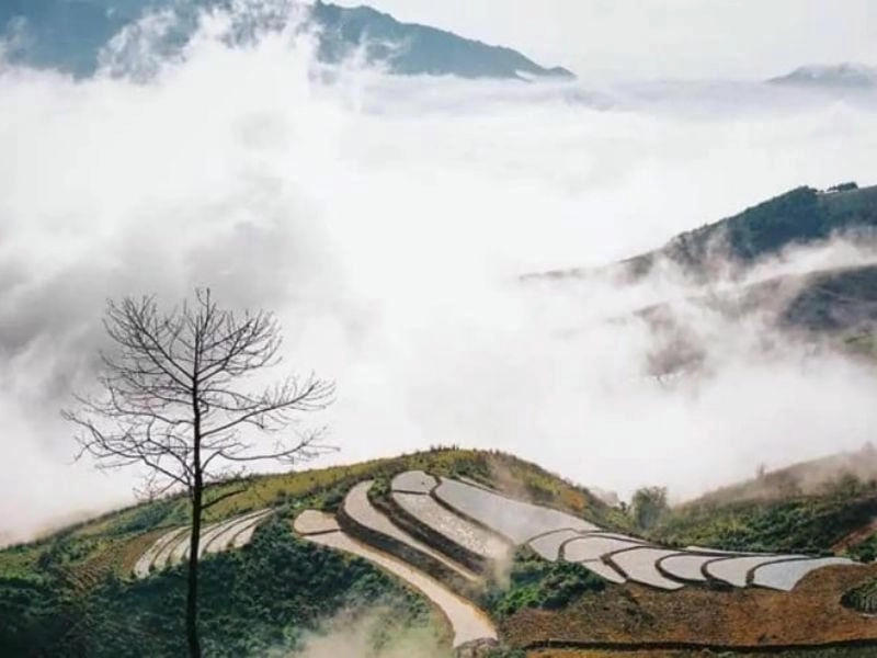 Bồng bềnh huyền ảo sương mù mùa đông