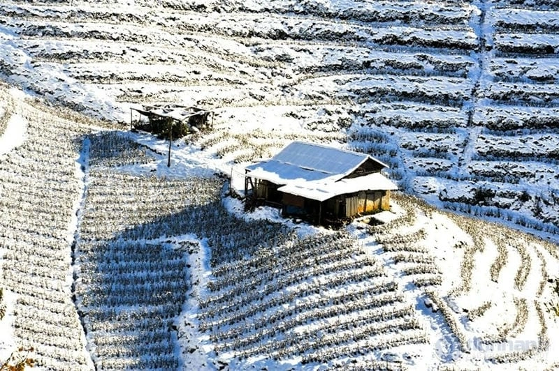 Lặng người trước ruộng bậc thang mùa đông lặng lẽ