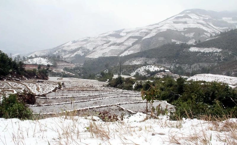 Lạc giữa màn sương mù mùa đông mờ ảo