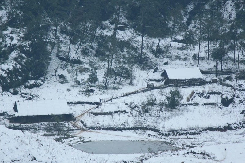 Vẻ đẹp Mùa đông Mộc Châu tuyết rơi lãng mạn