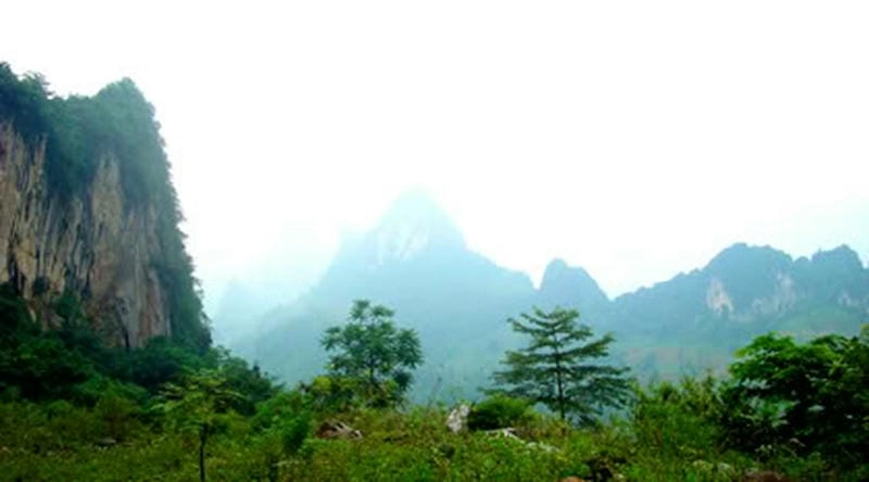 Rừng quanh Bắc Kạn mùa đông sương mù bao phủ thơ mộng