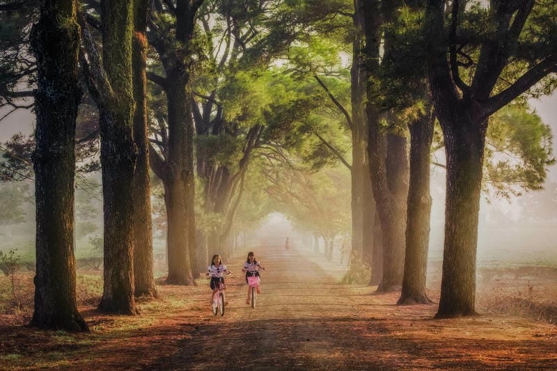 Gia Lai thơ mộng với màn sương mù mùa đông