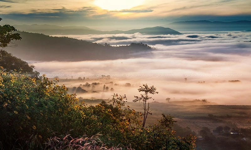 Sương mù mùa đông phủ trắng núi non Gia Lai