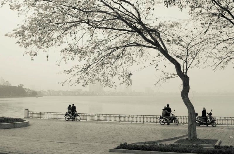 Khám phá thời điểm lý để chiêm ngưỡng mùa đông Hà Nội