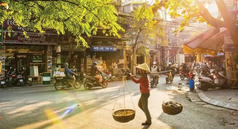 Thức dậy nhẹ nhàng cùng bình minh sương mù đẹp nao lòng