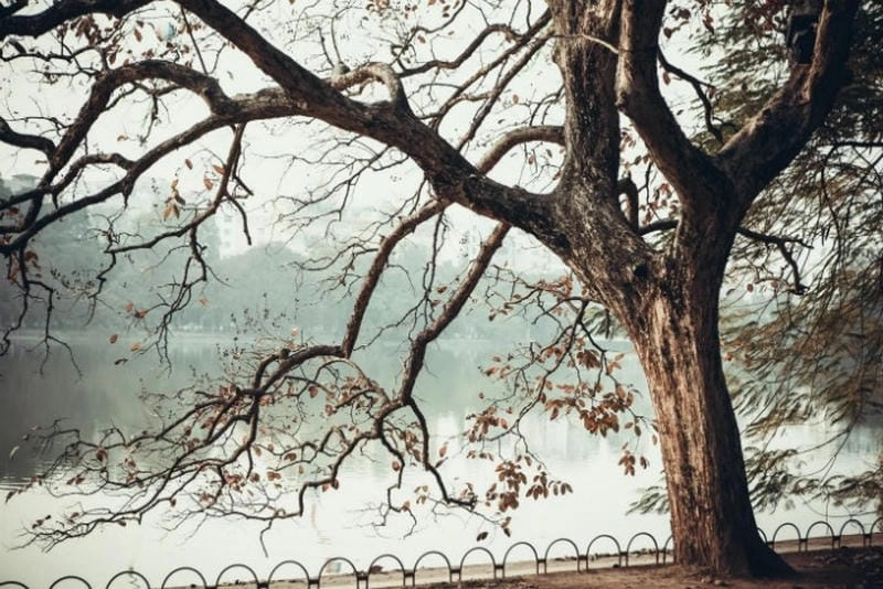 Bầu trời tĩnh lặng với mây trôi mùa đông phiêu du