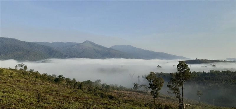 Trải nghiệm mùa đông Kon Tum với sương mù nhẹ nhàng