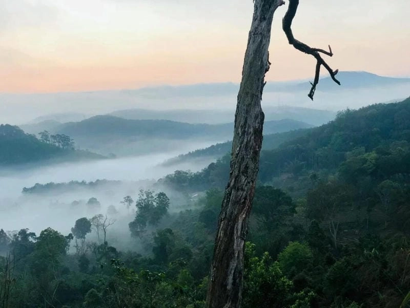 Bình minh sương mù Kon Tum khắc họa ngày mới